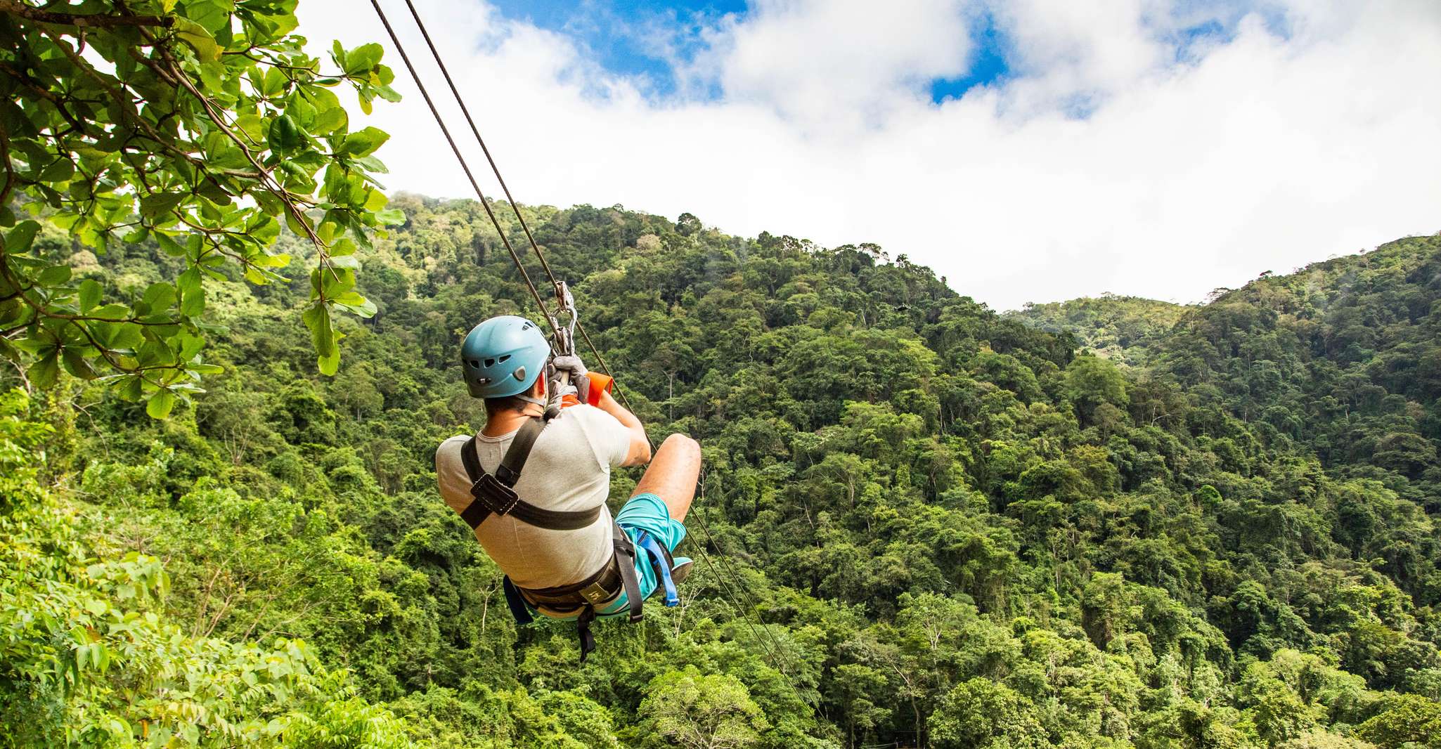 Canopy Zip line & Aerial Tram Tour - Housity