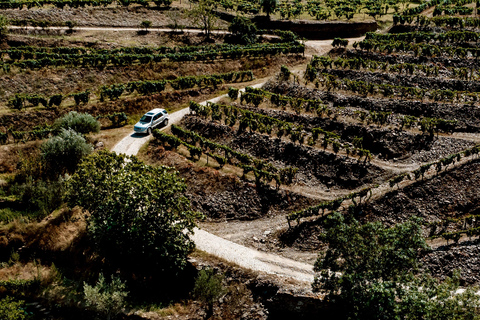 Porto : visite privée en jeep de la vallée du Douro avec déjeuner