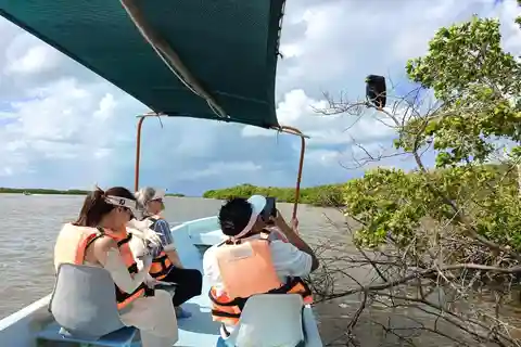 Yucatán : Tour en bateau de la réserve de biosphère de Río Lagartos