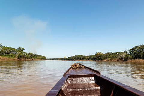 From Puerto Maldonado: 4-Day Excursion /wildlifesearch