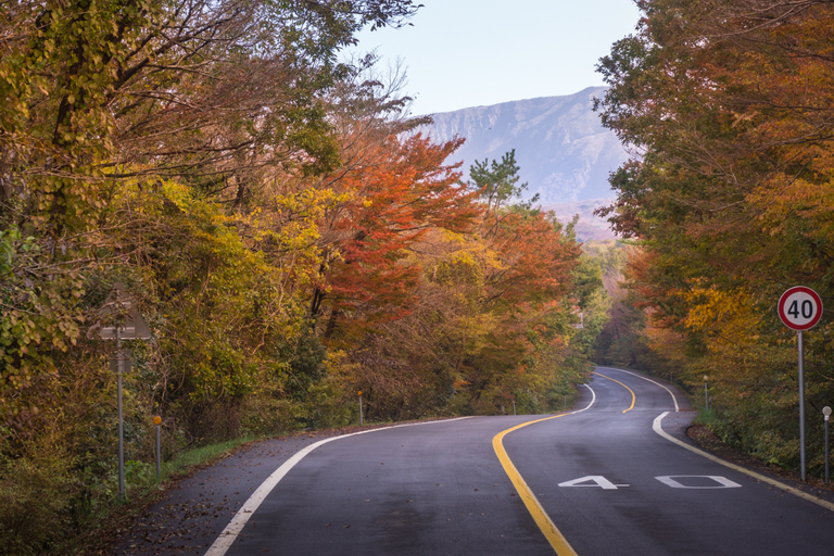 Busan: Mt. Jiri or Juwangsan Park Autumn Foliage Day Tour JIRISAN Foliage Shared Tour, Meet at Haeundae Station