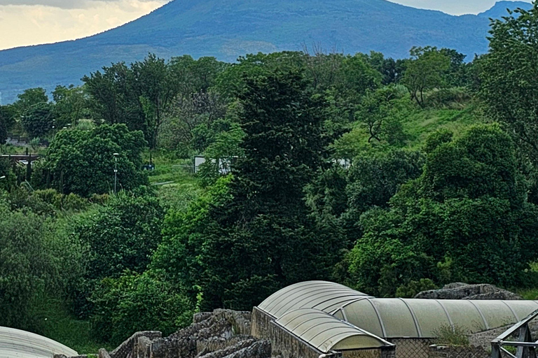 Pompei, biglietto salta fila con smartphone audioguida su App