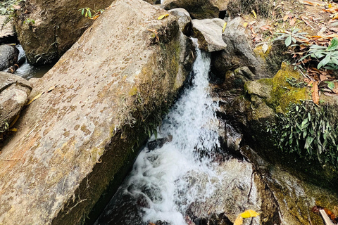 Chiang Rai: The Adventure of Trekking & Bamboo Cooking