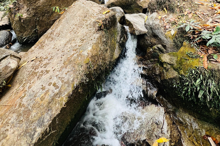 Chiang Rai: The Adventure of Trekking & Bamboo Cooking