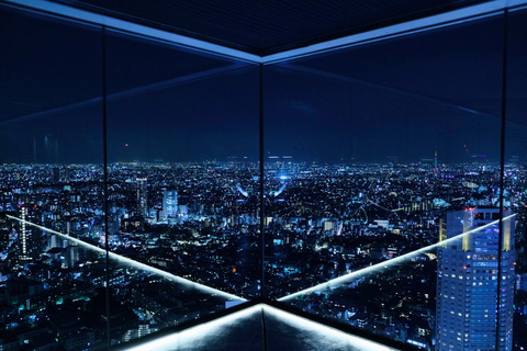 Tokyo: Shibuya After Dark, Neon Streets & Skyline View