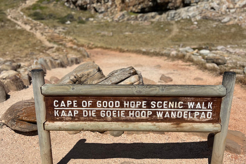 Cape of Good Hope, Chapman's Peak Drive, Penguins , Seals
