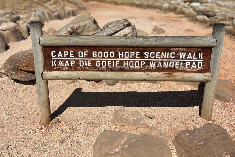 Cape of Good Hope, Chapman's Peak Drive, Penguins , Seals