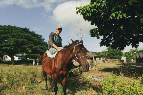 Fiji: Sabeto Valley Horseback Riding Tour