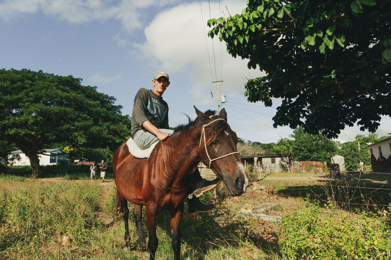Fiji: Sabeto Valley Horseback Riding Tour