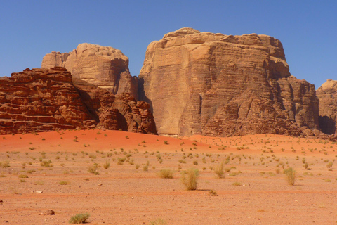 From Petra: Visit wadi rum back to Amman or Amman Airport