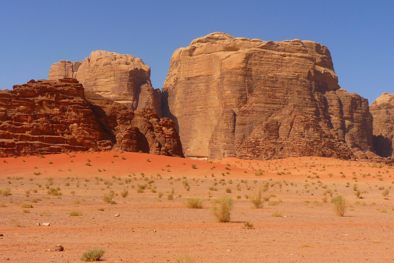 Von Petra: Besuch im Wadi Rum zurück nach Amman oder zum Flughafen Amman