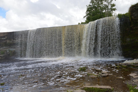Tallinn: rondleiding langs de hoogtepunten voor cruisepassagiers