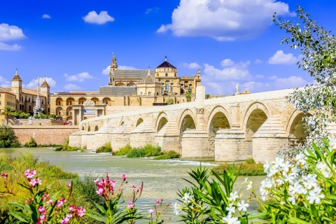 Andalucia and Toledo: 5-Day Tour from Madrid Superior Single Room - Bilingual: English and Spanish