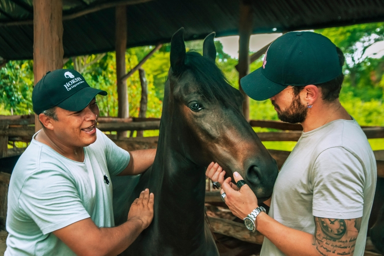 Carthagène : balade à cheval sur la plage et culture du cheval colombien