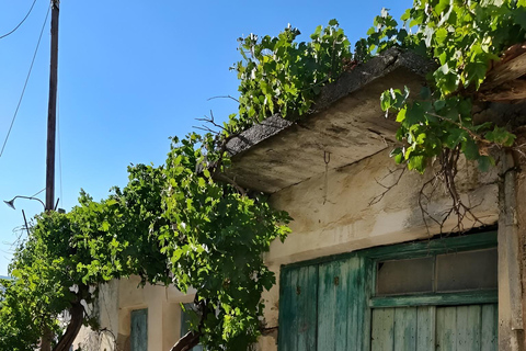La visite gastronomique sélective "Feel like local" au départ d'HéraklionMinibus (10 places) Sprinter