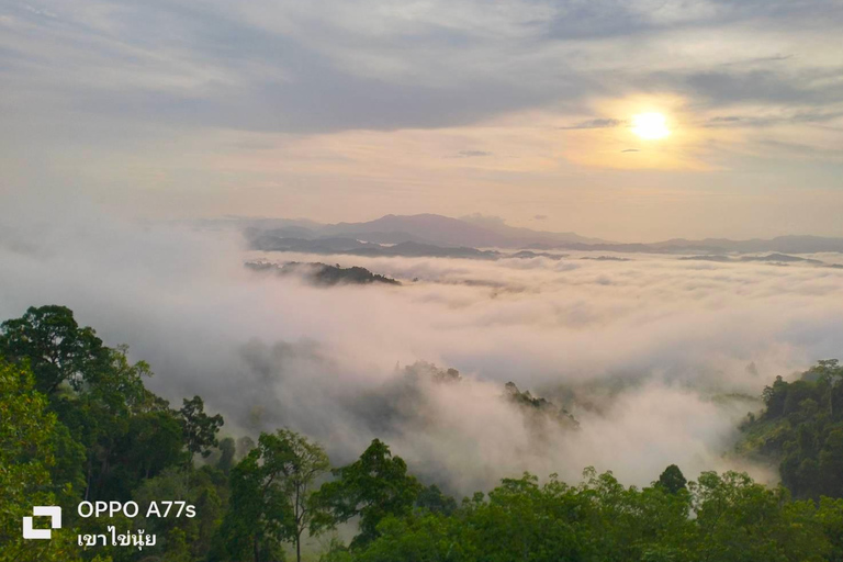 Khao Lak : Mer de brouillard sur une colline avec HomeStay One Night