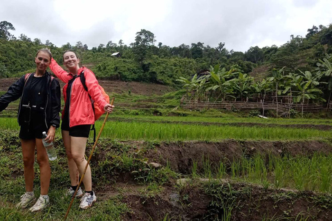 Chiang Mai: 2-dagars djungelvandring med elefantfarm och forsränning