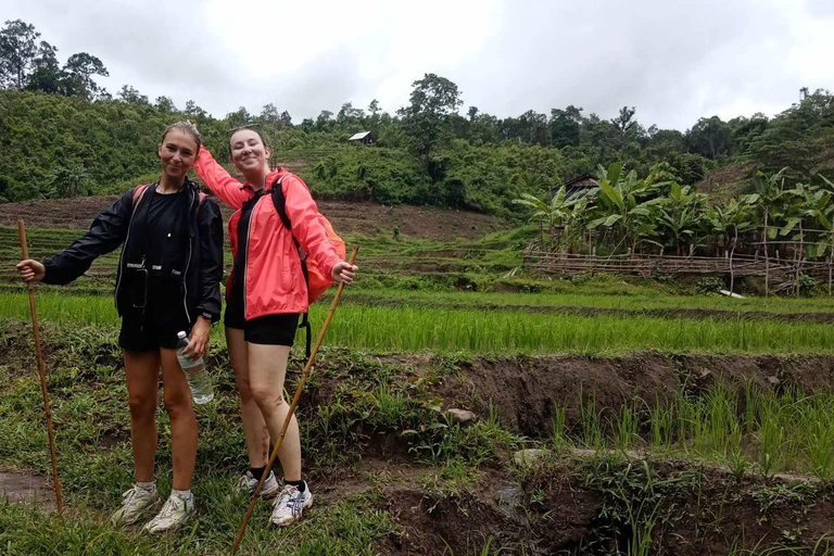 Chiang Mai: 2-dagars djungelvandring med elefantfarm och forsränning