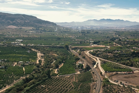 Excursión de un día desde Málaga: Cata de Vinos y Experiencia en ViñedosLengua