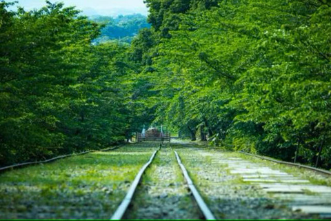 KYOTO: Viaje a la Armonía Sofisticada: 4 Escenas Tranquilizadoras