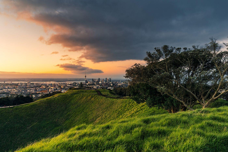 Auckland: Private Sunset Tour