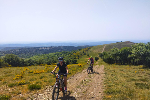 VTT Electrique 3h : Balade en nature pour tout niveau Tarif Réduit Groupe (à partir de 8 personnes)