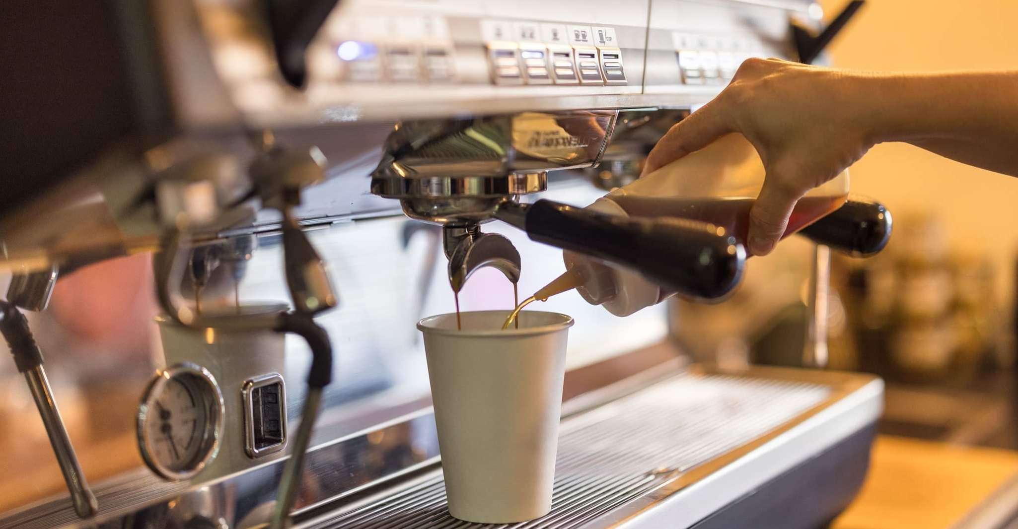 Montreal: Maple syrup tasting and conference. In english! photo 6