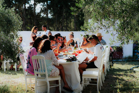 La Marsa: Tunisian Cooking Class with Market Tour