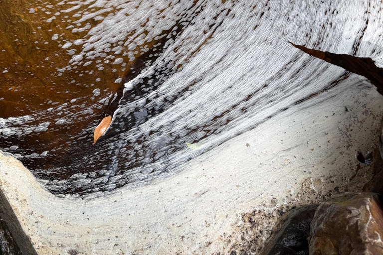 Kedah: Magnificent Jerai Multi Waterfalls Hunt & Jungle Trek Hippo: Challenging Canyon Loop (8km | 10 falls)