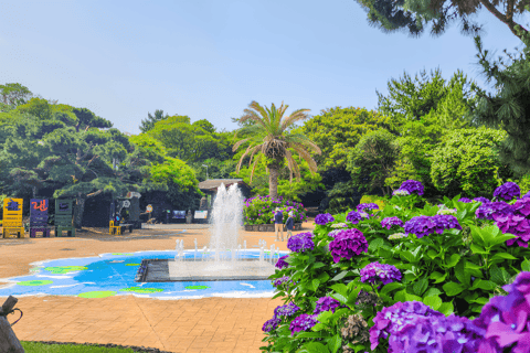 2024 Jeju Autumn Tour med Pink Muhly Festival