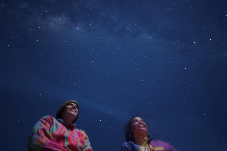 From Perth: Koala, Pinnacles Stargazing Day Tour