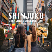 Private Tokyo Walking Tour: Shinjuku Secrets