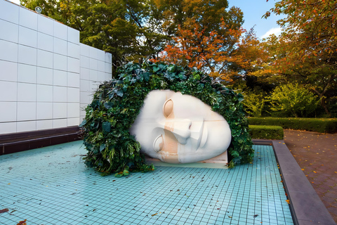 Desde Tokio: Tokio, Kioto, Osaka y Nikko Tour Privado de 7 Días