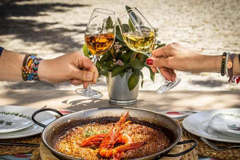 Fondateur du vignoble : TOUR GASTRO EXPERIENCE