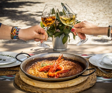 Weingüter-Gründer: TOUR GASTRO EXPERIENCE