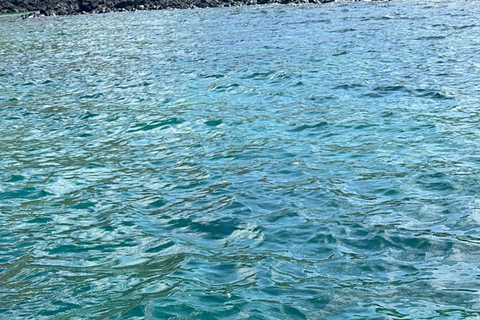 Descubrimiento de Galápagos EXPERIENCIA DE BUCEO DE UN DÍA