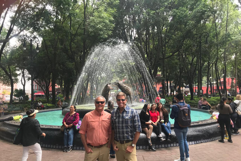 Mexico : visite guidée à pied sur l'histoire et la cultureVisite guidée privée idéale pour une famille ou un groupe d'amis