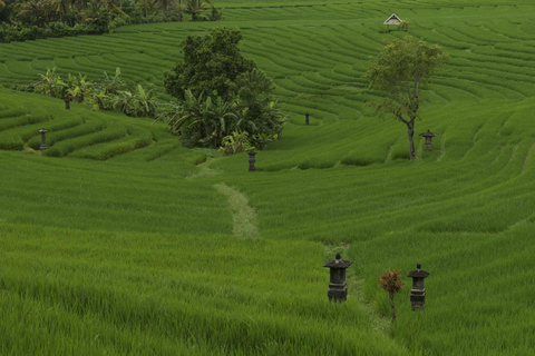 Bali: Secret and Untouristic Tour North West Bali.