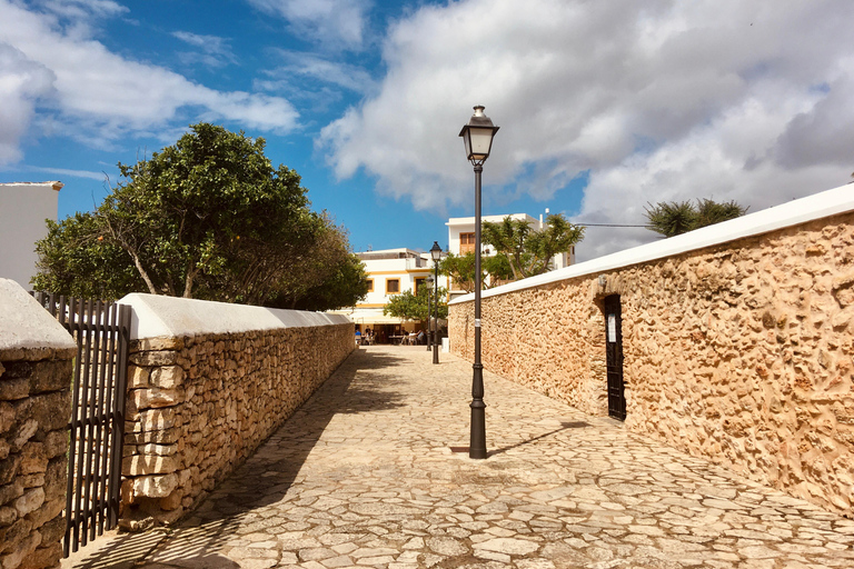 Excursion à Ibiza - Visite privéeExcursion à terre Ibiza - Visite privée