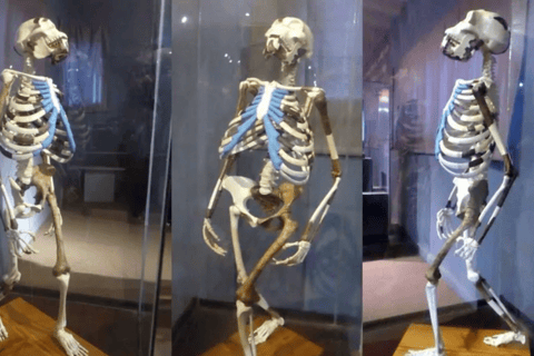 Explore Addis Ababa: Guided City Experience