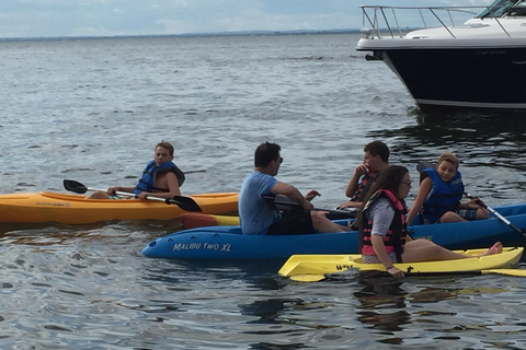 Key Largo: Mangrove Kayak Rental (Single or Double Kayaks)