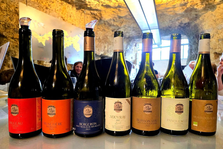 Loire Valley Wine Tour from Paris: 2 Wineries & 10 Tastings Premium Option