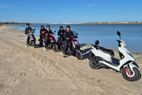 Best of Djerba by Scooter: Let's Ride, Let's Explore, Let's Have Fun! Complimentary Brik Best of Djerba by Scooter: We Ride, We Explore, We Love It!