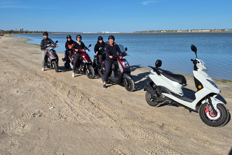 Best of Djerba by Scooter: Let's Ride, Let's Explore, Let's Have Fun! Complimentary Brik Best of Djerba by Scooter: We Ride, We Explore, We Love It!