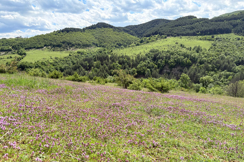 From Plovdiv: Ancient Perperikon&Hidden Rhodopi Natural Gems