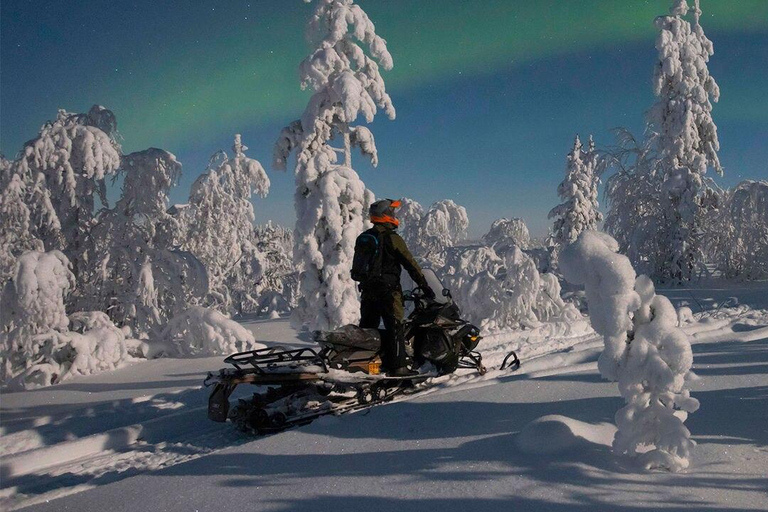 Explore the depths of the Canadian forest in Snowmobile