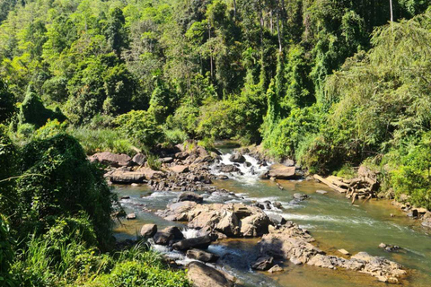 Kandy Top City Sights & Agro Tech Park Visit 4-Hours Tour Kandy Top City Sights visit -01