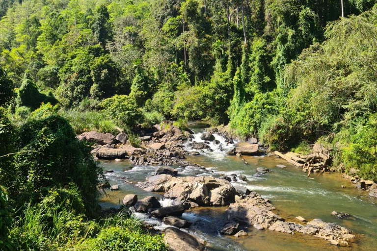 Kandy Top City Sights & Agro Tech Park Visit 4-Hours Tour Kandy Top City Sights visit -01