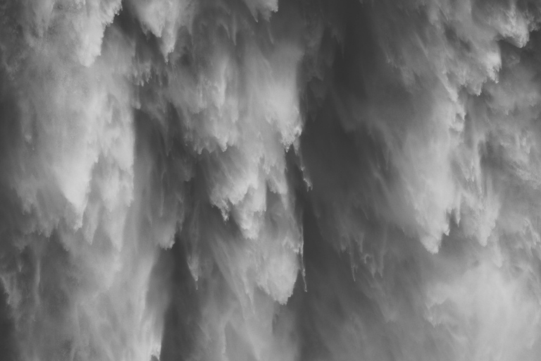 Snoqualmie, Twin Falls & Ancient Forest (Transport Included)