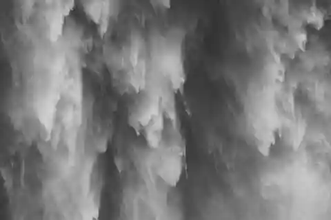 From Seattle: Snoqualmie, Twin Falls and Ancient Forest Trip